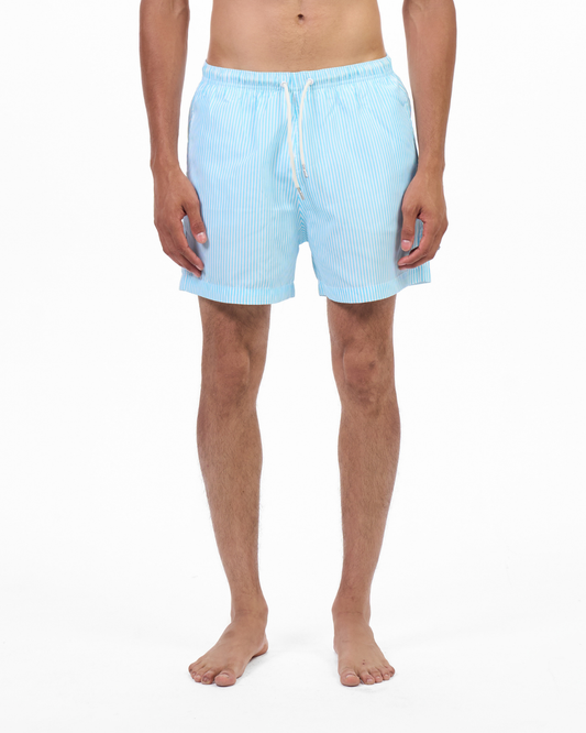 Swim Shorts (Striped)