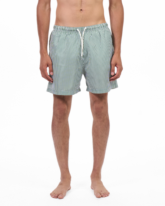 swim-shorts-striped.Striped Sage Green.promoted